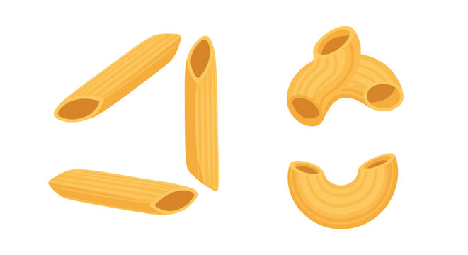 Different types of dry pasta shapes including penne and macaroni illustrated in a simple vector style on white.