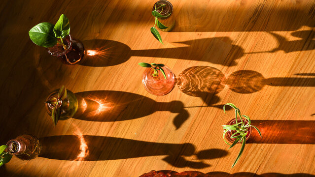 Sunlit Propagations on Wooden Table