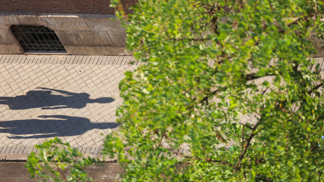 Long Shadow of People on City Sidewalk