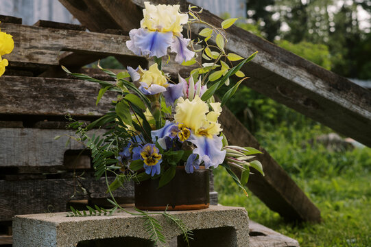 blue and yellow flower arrangement in spring made of bearded iris