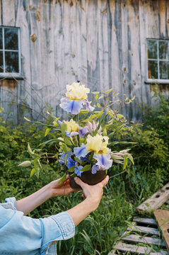 hands holding flower arrangement in spring made of bearded iris