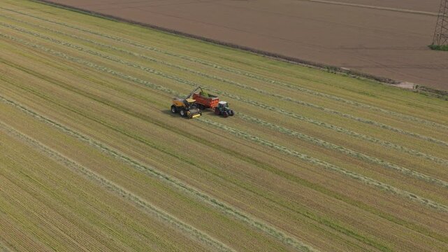 Tractor Harvesting in Agricultural Field: An agricultural tractor with a harvesting implement is working in a vast field, cutting grass and preparing it for collection.