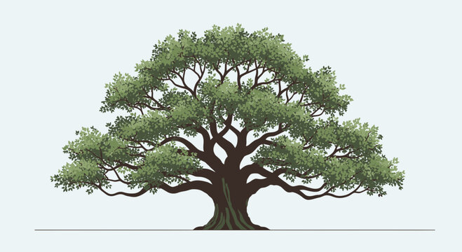 Large Tree with Green Leaves Illustration.