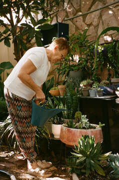 Senior Woman Tending to Succulents in Garden During Sunny Day On Film