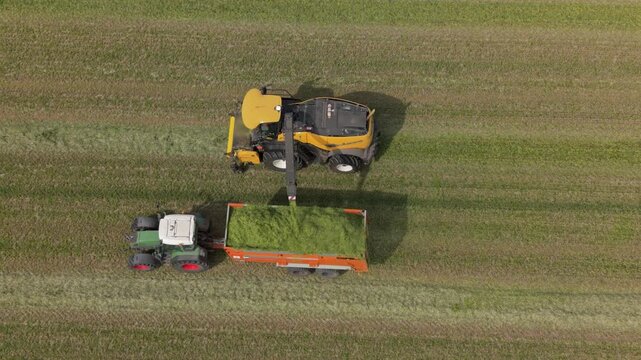 Close action view of forage harvester cutting and chopping green grass while unloading into a silage wagon during agricultural field operations in Europe.