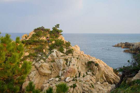 Pine-Covered Daewangam Outcrop
