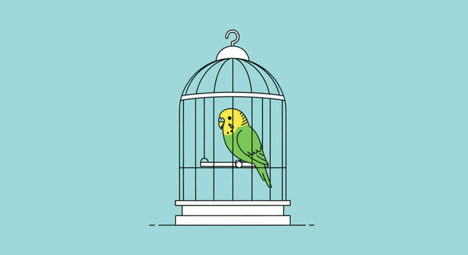 Colorful Parrot in Bird Cage.