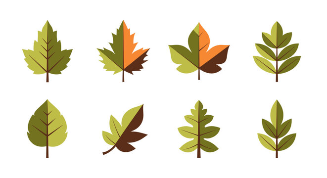 Collection of autumn leaves in various shapes and colors