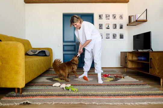 Woman Playing Tug Game with Dog at Home