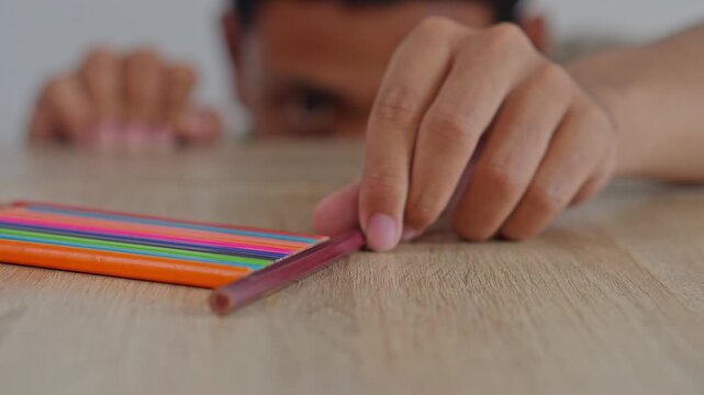Close up of hands carefully arranging colorful pencils in straight line