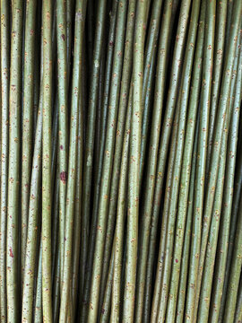osier twigs