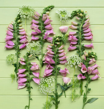 Pink Campanula Bells composition