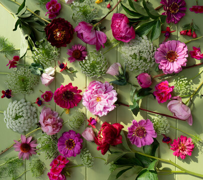 Floral composition in natural sunlight