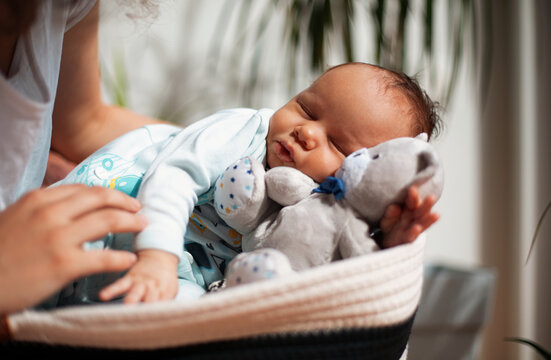 Sleeping Newborn Baby Cuddling Teddy With Parent