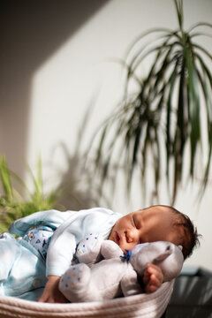 Sleeping Newborn Baby Cuddling Soft Teddy Bear In Basket