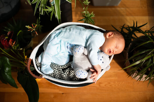 Sleeping Newborn Baby in Basket With Teddy