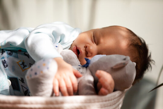 Sleeping Baby Hugging a Plush Toy in Basket