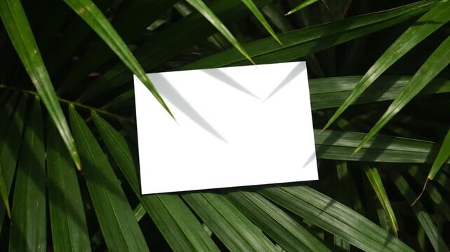 White Envelope on Green Leaves Background.