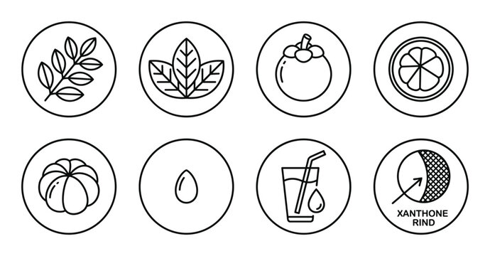 Mangosteen icons set healthy fruit ingredient elements healthy juice and xanthone rind.