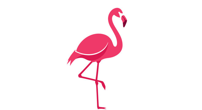 Pink Flamingo Bird Standing Alone 1.