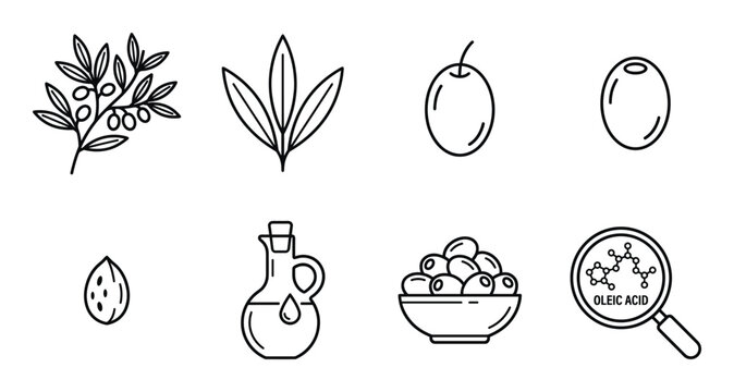 Olive branch with berries, leaves, olives, almond, oil bottle and oleic acid molecule.