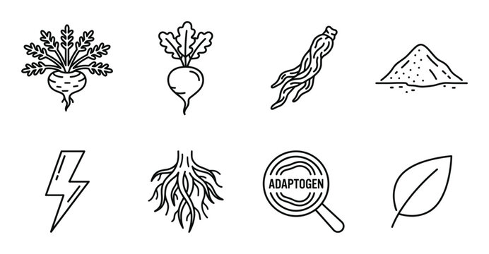 Set of adaptogen icons healthy root vegetables lightning bolt and magnifying glass.