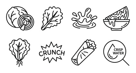 Fototapeta premium Set of salad and vegetable icons showing cabbage, lettuce, water splash, and wrap.
