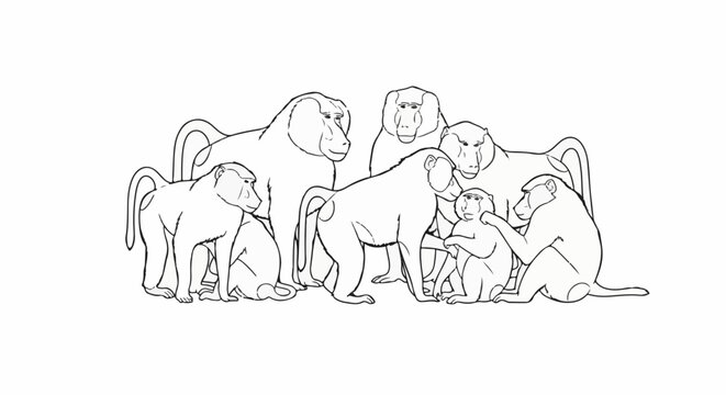 A group of seven baboons rendered in simple black outline on a white background