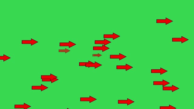 Animated Red Arrows Pointing Down with Bounce Effect - Green Screen Chroma Key