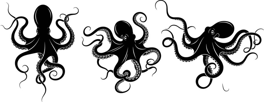 Collection of three black silhouette octopus vectors with curly tentacles isolated on a white background for marine life graphic design.