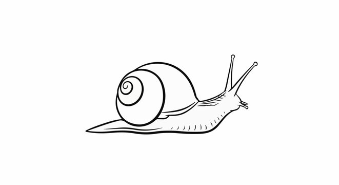 A simple line drawing of a snail with its shell coiled and antennae extended