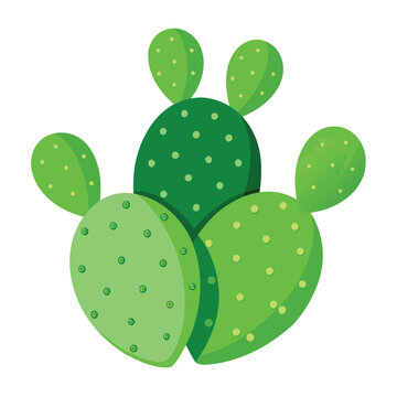 Nopales Cactus Pads Green Vegetable Vector Illustration