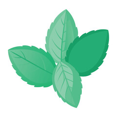 mint leaves © Mariam