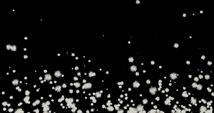 綿帽子、綿、胞子、タンポポ、羽、羽毛、フェザー、ダウンが乱舞する４Kループアニメーション：背景透過