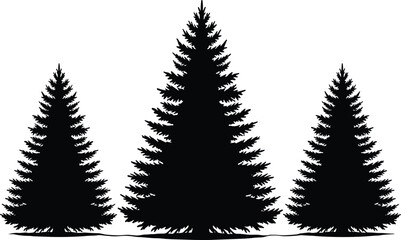 Fototapeta premium Pine tree silhouette set, evergreen conifer trees collection, natural forest elements isolated on white background, detailed nature illustration design