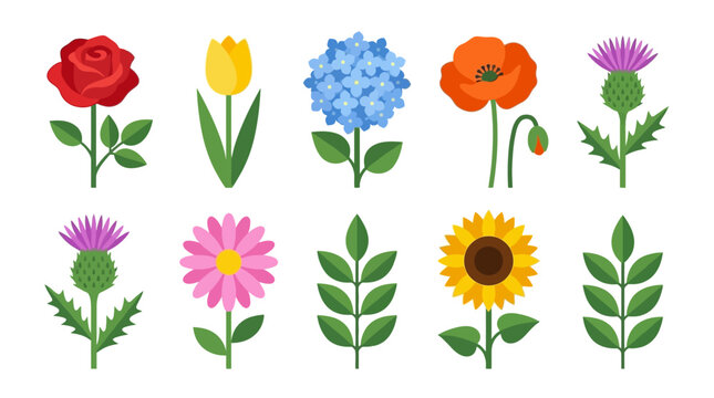 A vibrant collection of simplified flat vector illustrations depicting a variety of colorful flowers and plants