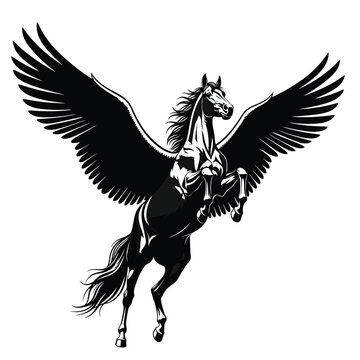 Black and white winged horse 2.