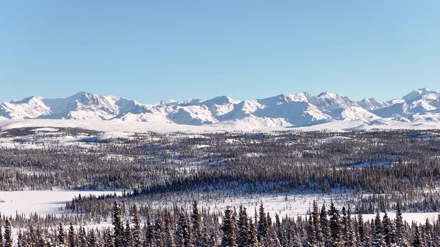 Aerial view of snowy alaskan mountain range push through snow covered trees
