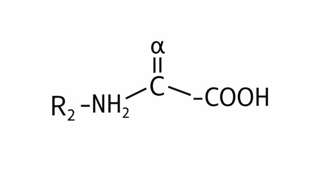 Generic amino acid molecular structure with a variable side chain (R2)