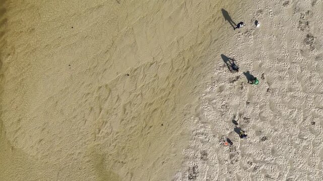 Drone overhead shot in bright direct sunlight captures families doing shellfish gathering peche a pied at low tide on Minouet River, Concarneau, Brittany, France.