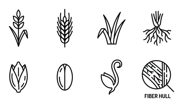 Wheat plant and products line icons set healthy food crop agriculture harvest rural grain.