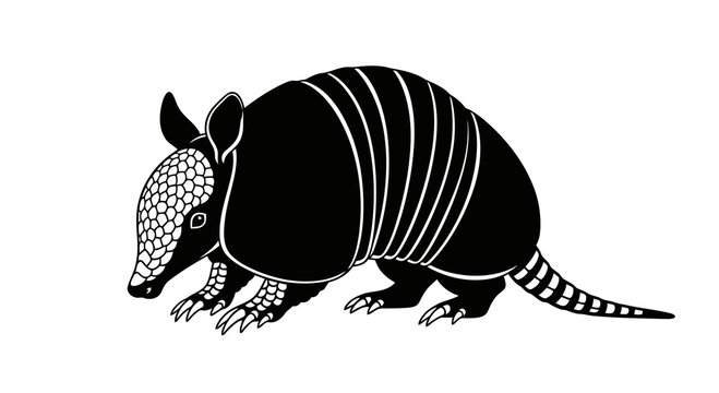 A black and white illustration of an armadillo on a white background.