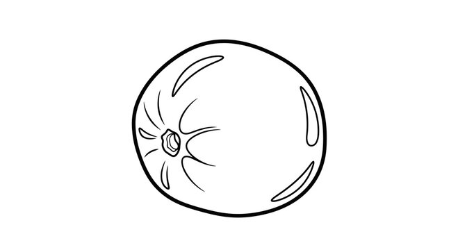 Simple line drawing of an orange with segments and a stem