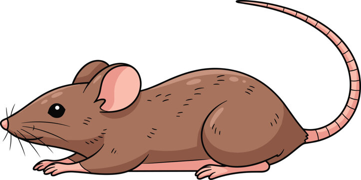 Cartoon mouse vector illustration, cute rodent animal design, brown rat character, flat style, isolated on white background, wildlife concept