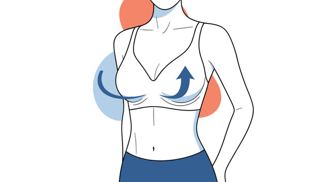 Illustration of a woman wearing a white bra with blue arrows showing the lifting and supportive effect on her breasts.