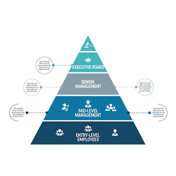 Business organizational structure hierarchy chart.