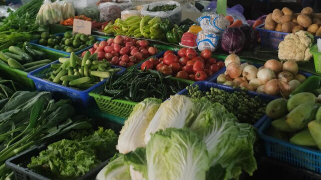 Colorful assortment of cabbage tomatoes daikon chili onion lime mango basil choy sum cucumbers eggplant beans mint napa cabbage scallions on stall. Fresh vegetables concept