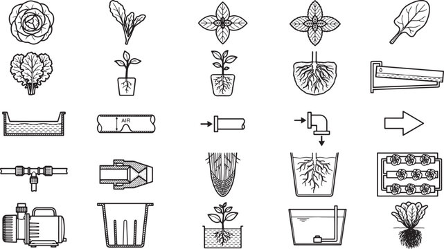 Hydroponic garden concept illustration, showcasing the process.