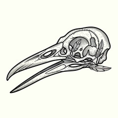 Fototapeta premium Hand-Drawn Raven Bird Skull with Feathers Vector Illustration in Vintage Engraving Style