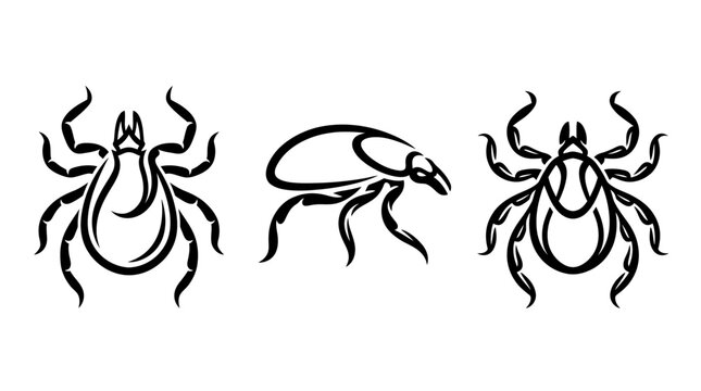 Stylized Black and White Tick Illustrations on White Background.